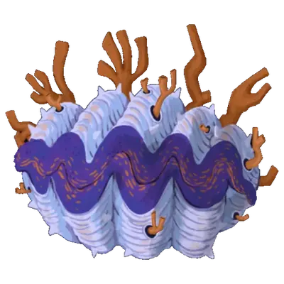 Sewer Clam